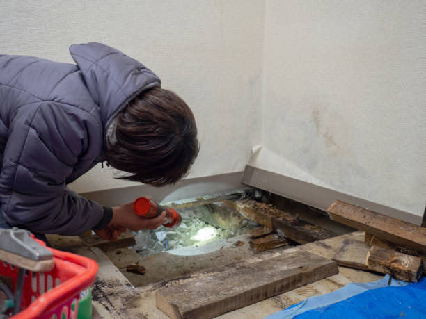 Best Biohazard Mold Removal  in North Key Largo, FL