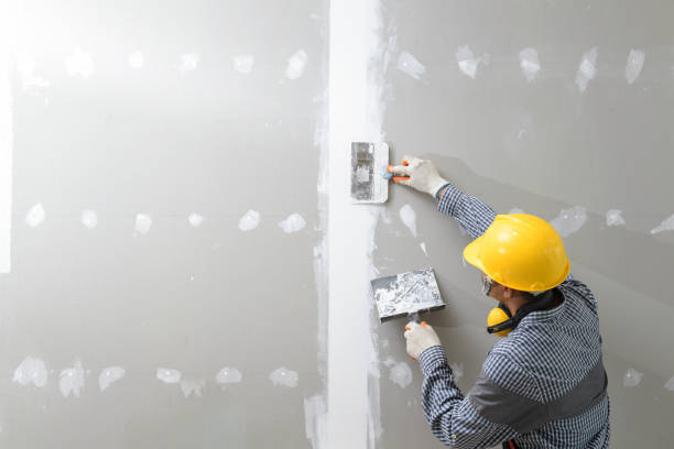 Best HVAC Mold Inspection and Cleaning  in North Key Largo, FL